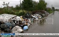 Пока Борские власти и рег. оператор валят друг на друга обязанности, район задыхается от мусора