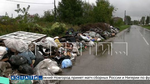 Пока Борские власти и рег. оператор валят друг на друга обязанности, район задыхается от мусора