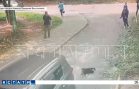 Водитель, которого соседи просили не гонять по двору, угрожая соседке, переехал её собаку