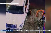 Водителя, который задавил собаку на АЗС, самого затравили в социальных сетях Водителя, который задавил собаку на АЗС, самого затравили в социальных сетях