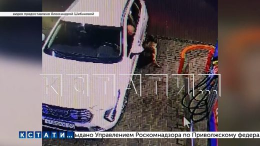 Водителя, который задавил собаку на АЗС, самого затравили в социальных сетях