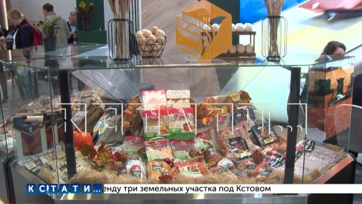 Делегация из Нижегородской области принимает участие в сельскохозяйственной выставке «Золотая осень»
