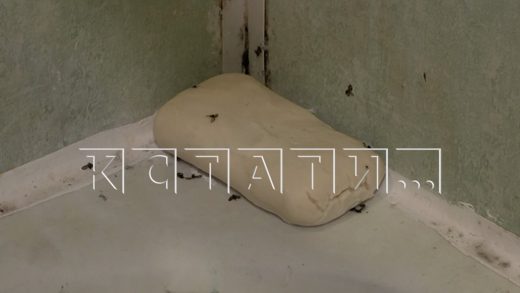 Компрометирующие насекомые появились в квартире многодетной матери