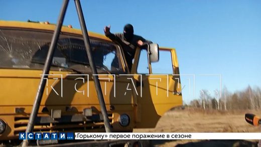Масштабы вырубки вековых лесов, которые Борский суд признал полями, достигли уже тысяч гектаров