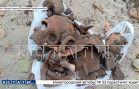 Наткнувшись на древнее захоронение, рабочие продолжали его разрушать, пока их не остановили