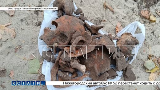 Наткнувшись на древнее захоронение, рабочие продолжали его разрушать, пока их не остановили