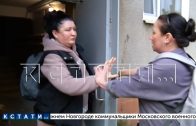 Собачница, ненавидящая других собак, в третий раз разломала муниципальную площадку для выгула