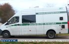 Запах от химических сливов под Дзержинском стал такой силы, что от него гибнут птицы Запах от химических сливов под Дзержинском стал такой силы, что от него гибнут птицы