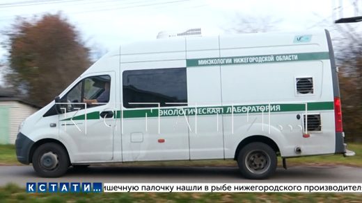 Запах от химических сливов под Дзержинском стал такой силы, что от него гибнут птицы