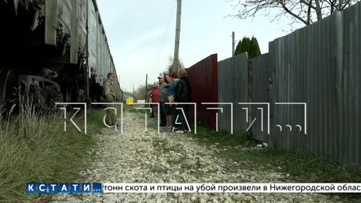 Жители улицы в Володарске внезапно всей улицей очутились в депо и живут посреди поездов